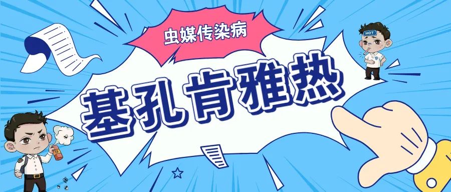 带你认识什么是基孔肯雅热？-四海清单