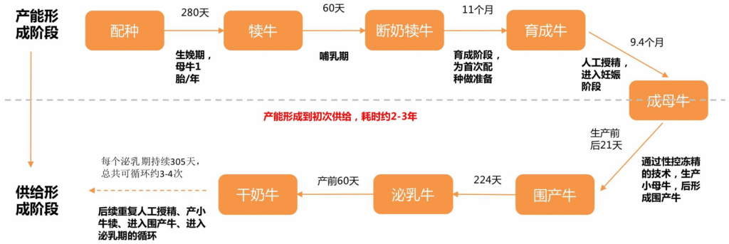 【四海读报】20250923：牛专题深度报告-四海清单