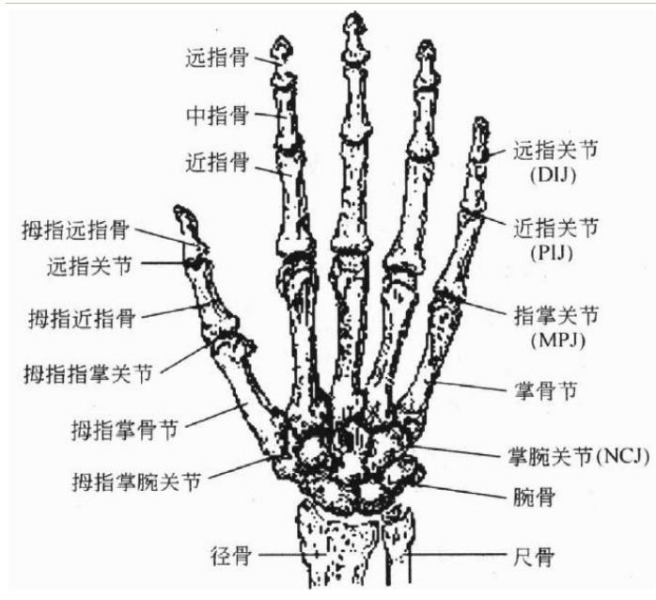【四海读报】20251228:高端装备制造产业研究深度:灵巧手-四海清单