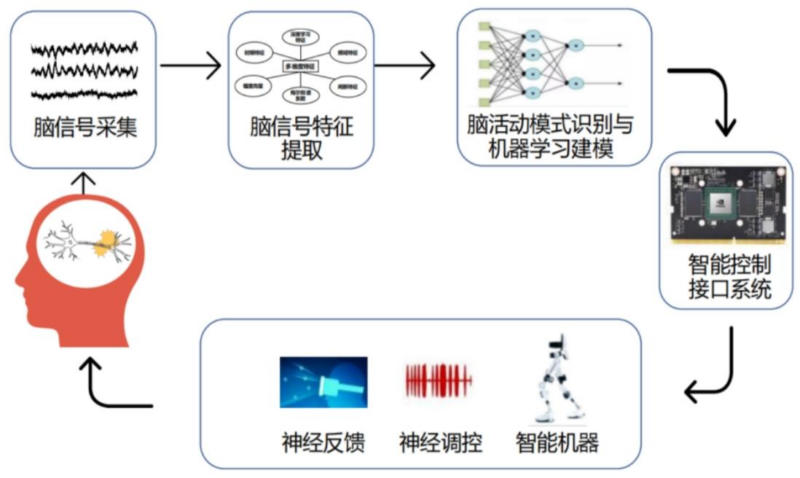 【四海读报】20260417—策略深度报告：脑机智能-十大未来产业系列之一-四海清单